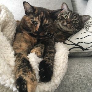 Meet your Posher, Heidi